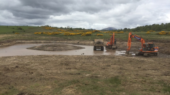 Island in the pond as it begins to fill