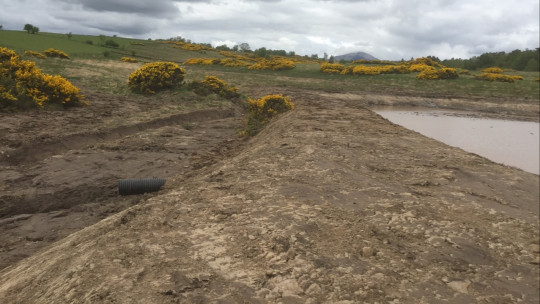 Bund and overflow pipe for the pond