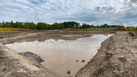 Pond beginning to fill...